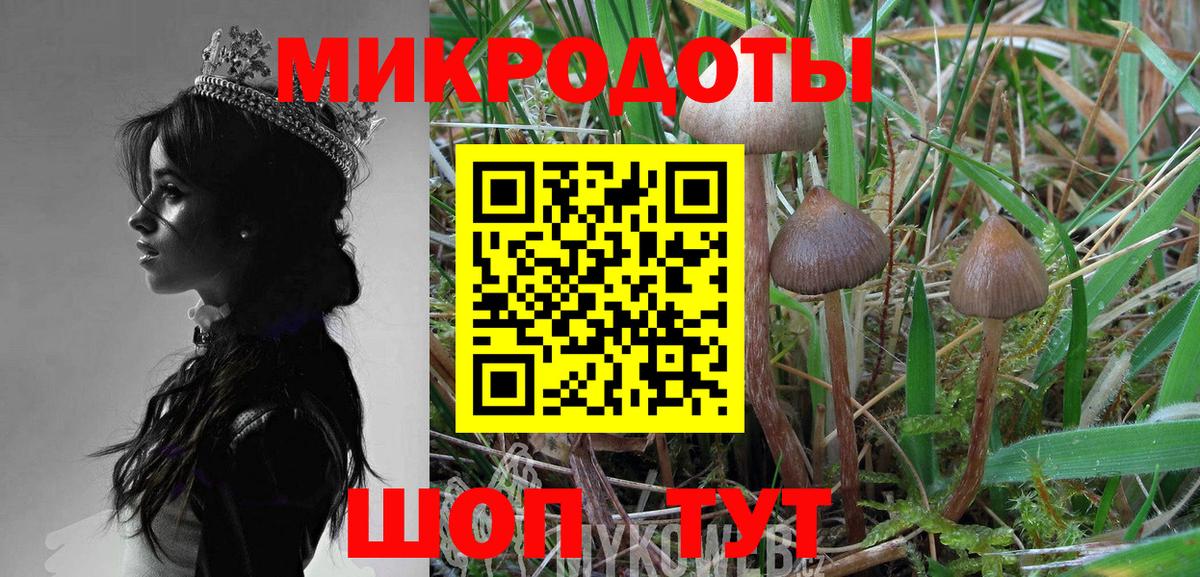 Галлюциногенные грибы Magic Shrooms Пушкино